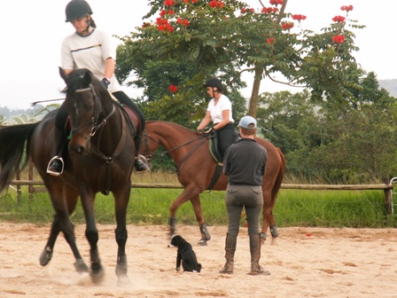 Instructor and assistant instructor