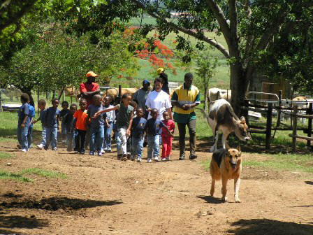 Farm walk for everyone