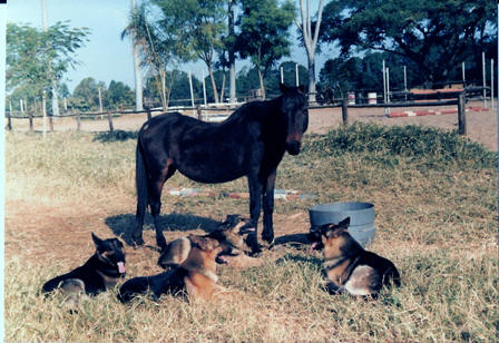 Palala recovering and happy with her friends