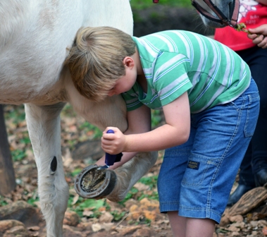 Picking hooves