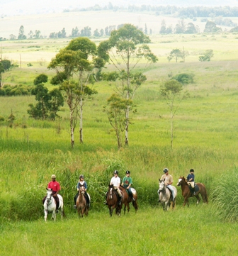 Beautiful countryside