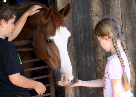 Horse magic