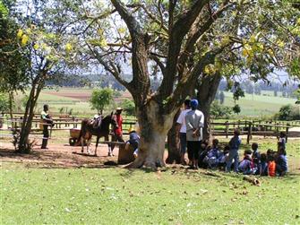 Lesson under the tree