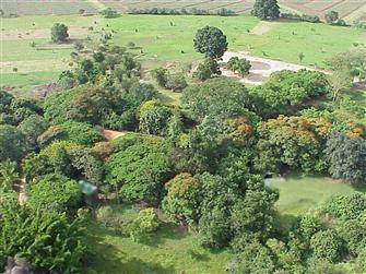 Nyanza main house and school from air