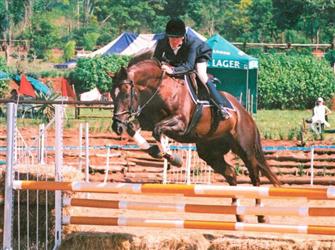 Ann - Showjumping