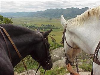 Ruwenzori and Jester