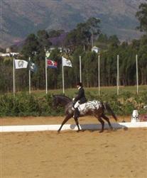 Ann and Manetuwi at his first FEI Dressage competition