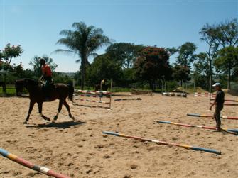 Schooling arena