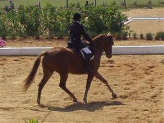 Savuti doing FEI Children's Dressage