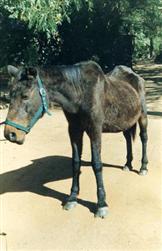 Palala on the day she arrived at Nyanza