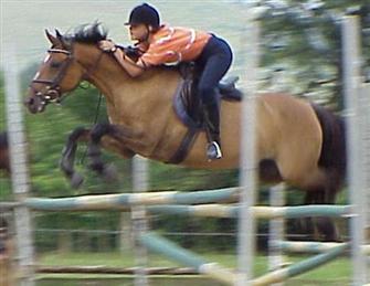 Quesha show jumping practice